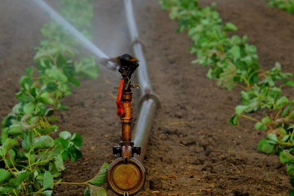 gicleurs d'eau - irrigation agricole