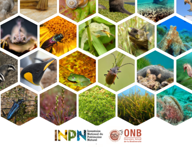 100 chiffres biodiversité